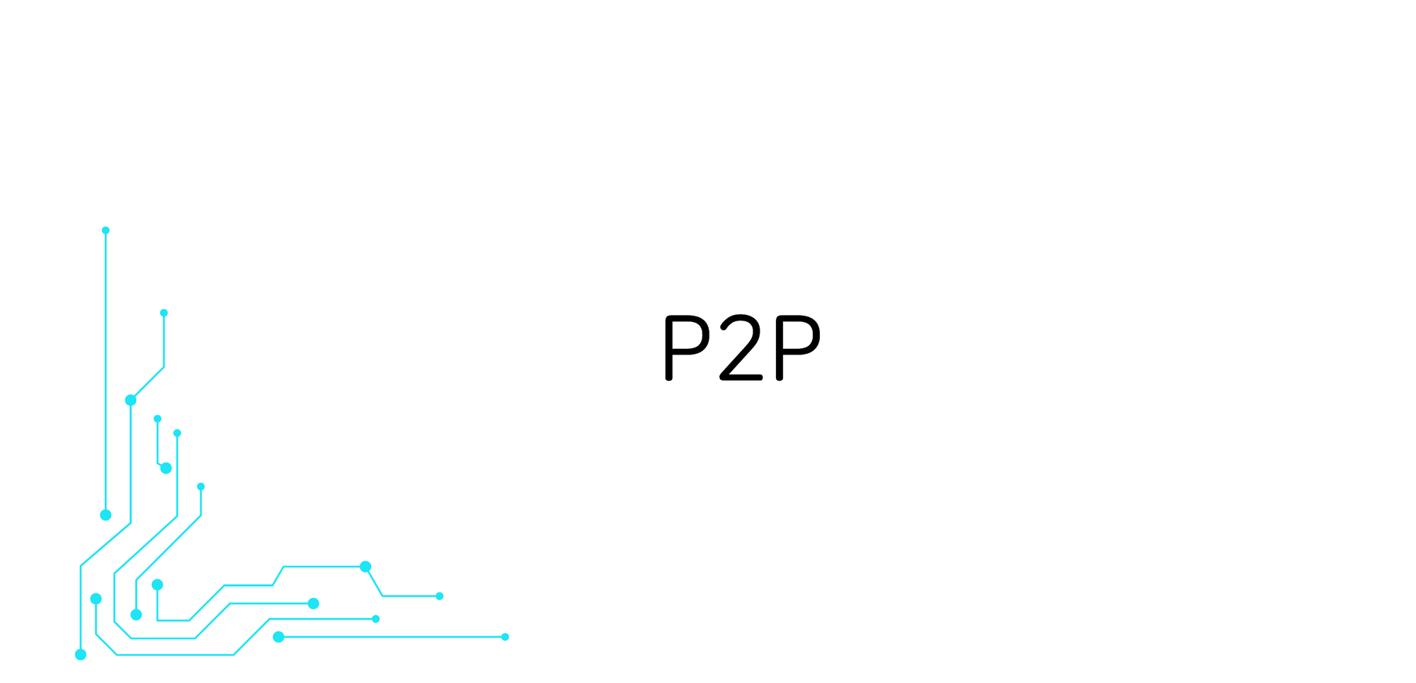 2.5 P2P: P2P 파일 분배  Computer Network