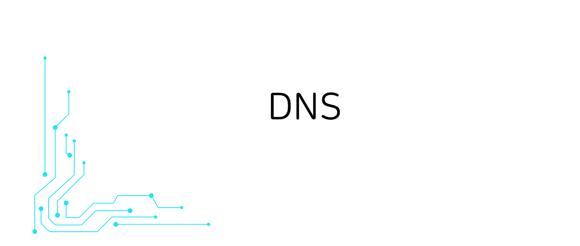 2.4 DNS: 인터넷의 디렉터리 서비스 - Computer Network